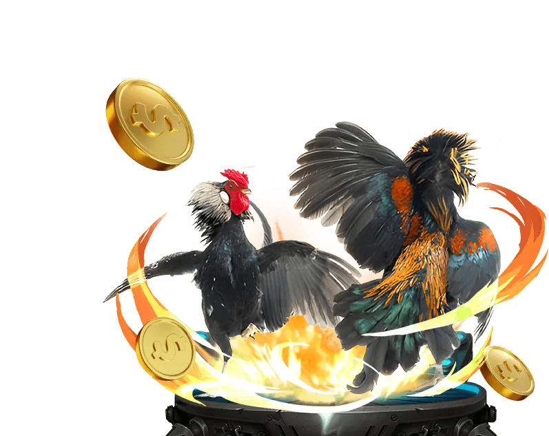 Hoàn trả cược đá gà hàng tuần for88 casino